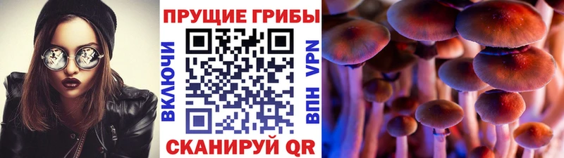 Псилоцибиновые грибы прущие грибы  блэк спрут онион  Михайлов 